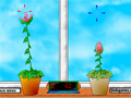 Sundews Fighting Game